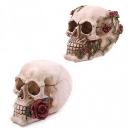 Crâne avec roses