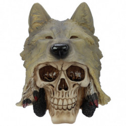 Crâne de Décoration - Tête de Loup