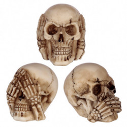 Lot de 3 Petits Crânes de la Sagesse