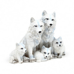 Famille de Loups et Louveteaux