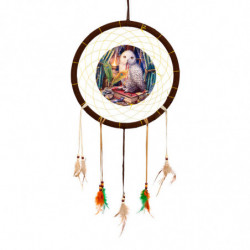 Attrape-rêves Lisa Parker Hibou Gardien des Invocations 33cm