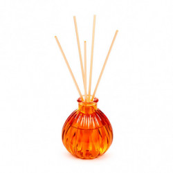 Diffuseur par capilarité 100ml Citrouille - Récolte d'Automne