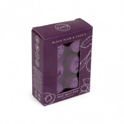 Lot de 6 Fondants de cire - Prune & Cassis