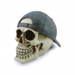 Crâne avec Casquette de Baseball